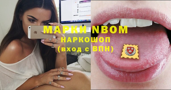 крисы Белокуриха