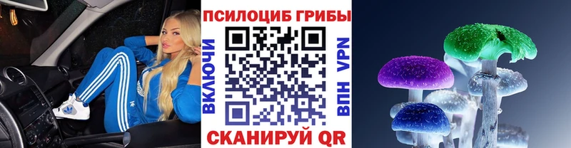 где купить наркоту  shop как зайти  Галлюциногенные грибы MAGIC MUSHROOMS  Качканар 